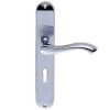 Ambassador - Image 6