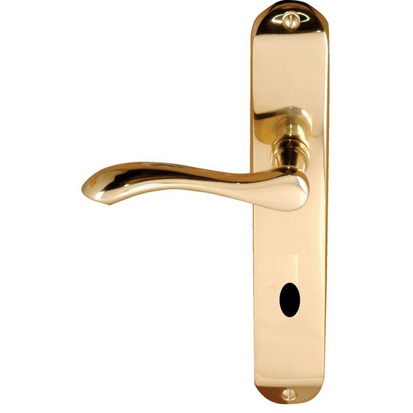 Ambassador - Image 4