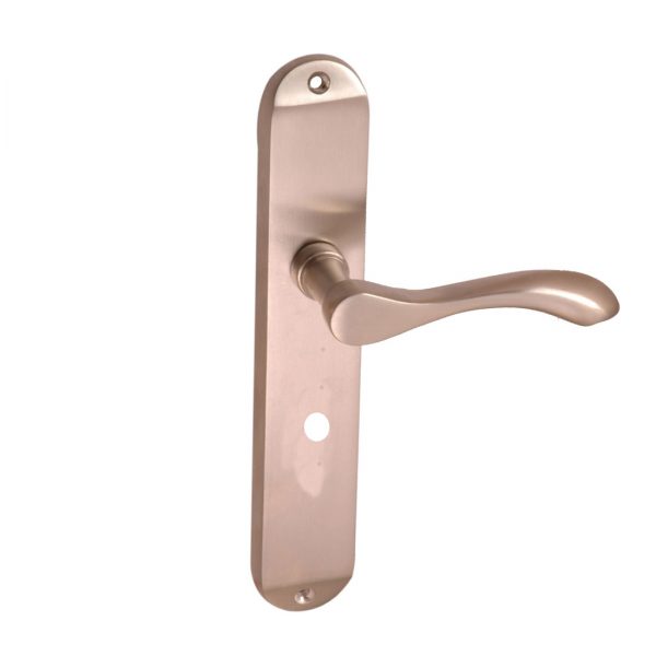 Ambassador - Image 10